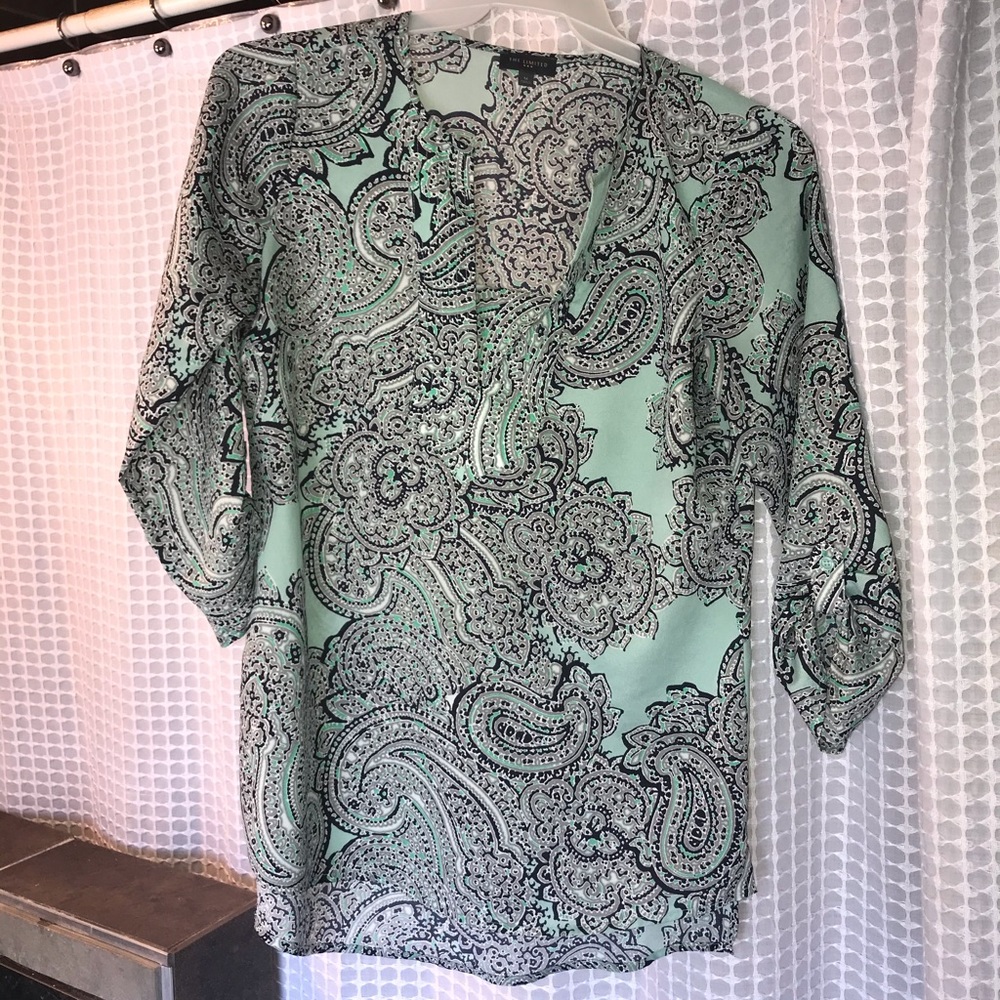 The Limited Low Cut Blouse